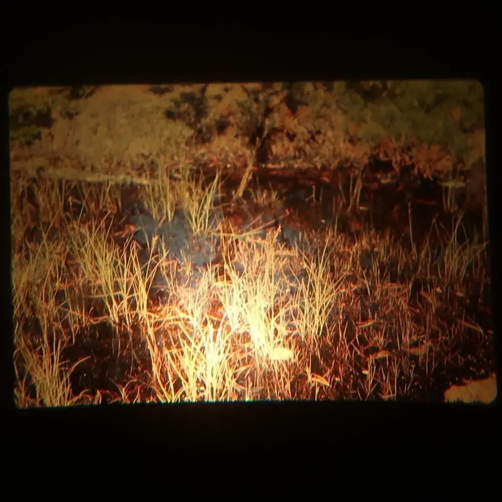 35mm Slides Lot of 12 Vintage 1970s Abstract Architecture Nature Water River